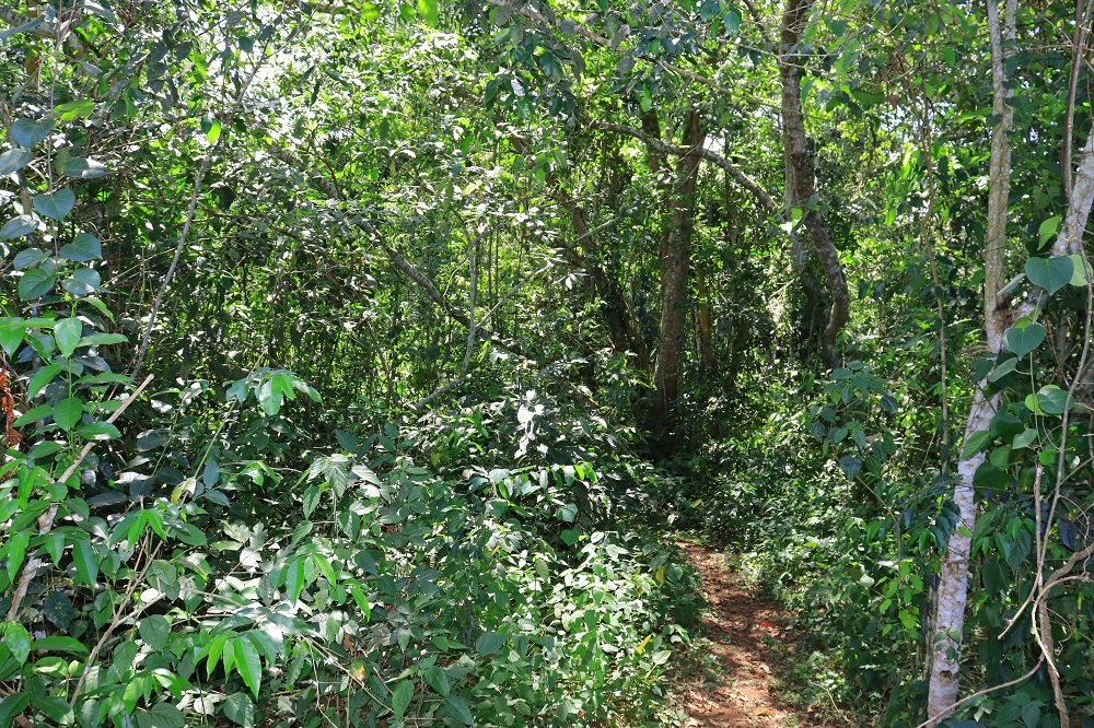 Sustainable community development